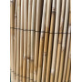 Arella CANNA PASSANTE Bamboo Naturale 200x300 cm Recinzione Schermante Ombreggiante