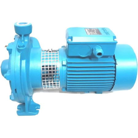 Calpeda NMDM 20/140B Elettropompa Centrifuga Bigiranti 1.5 HP (1.1 kW) Monofase 230V
