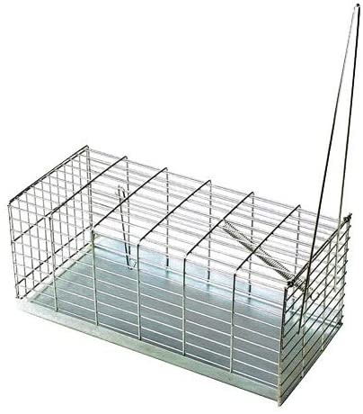 TRAPPOLA PER TOPI A GABBIA 606321