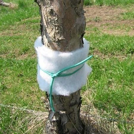 TESSUTO TRAPPOLA CATTURA INSETTI rt. CM 15 X 20 MT