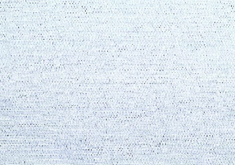 VERDELOOK Tessuto Ombra in rotoli, 2x100 m, 100gr/mq per recinzioni coperture, bianco