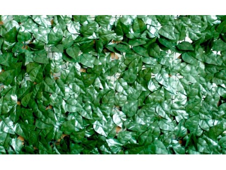 VERDELOOK Sempreverde® Point, Siepe Artificiale 1x3 m, Foglia Lauro, per Decorazioni Giardino