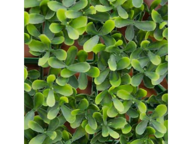 VERDELOOK Prato Artificiale Sempreverde 1x2,5 M, Erba Sintetica Spessore 35 Mm, Per Giardino, Balcone, Terrazzo, Facile Da Installare - 4
