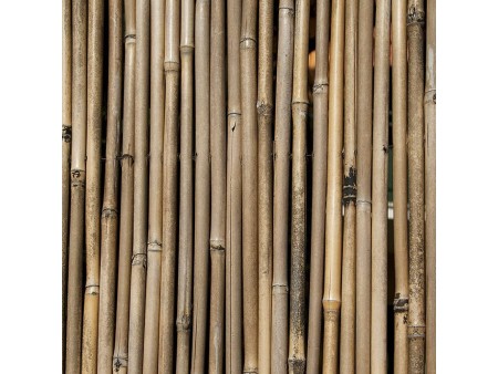 VERDELOOK Arella River in cannette di Bamboo Pieno, 2x3 m, coperture recinzioni