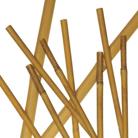 VERDELOOK 10pz Canna in Bamboo reggipiante 210cm diam 26/28mm, tutore